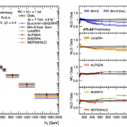 W + jets plot