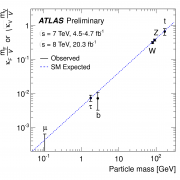 The coupling of the Higgs boson to fermions and bosons as a function of the particle’s mass.